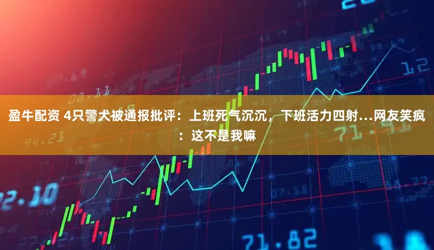 盈牛配资 4只警犬被通报批评：上班死气沉沉，下班活力四射…网友笑疯：这不是我嘛