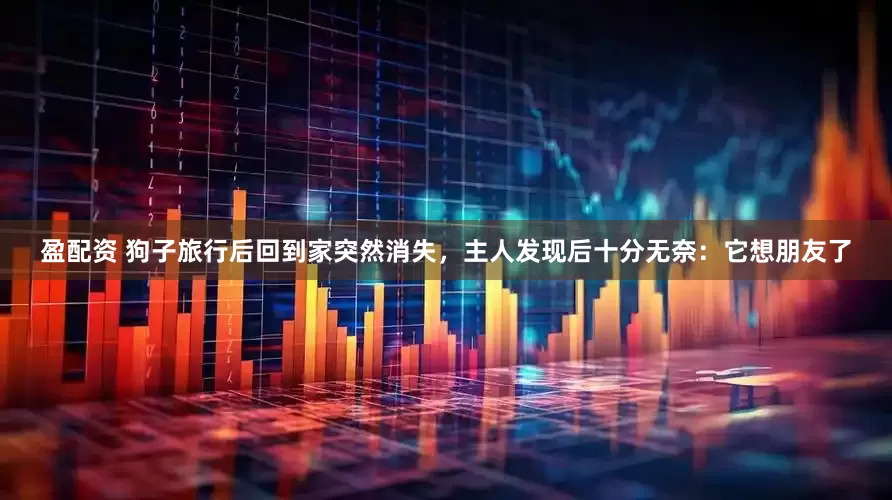 盈配资 狗子旅行后回到家突然消失，主人发现后十分无奈：它想朋友了