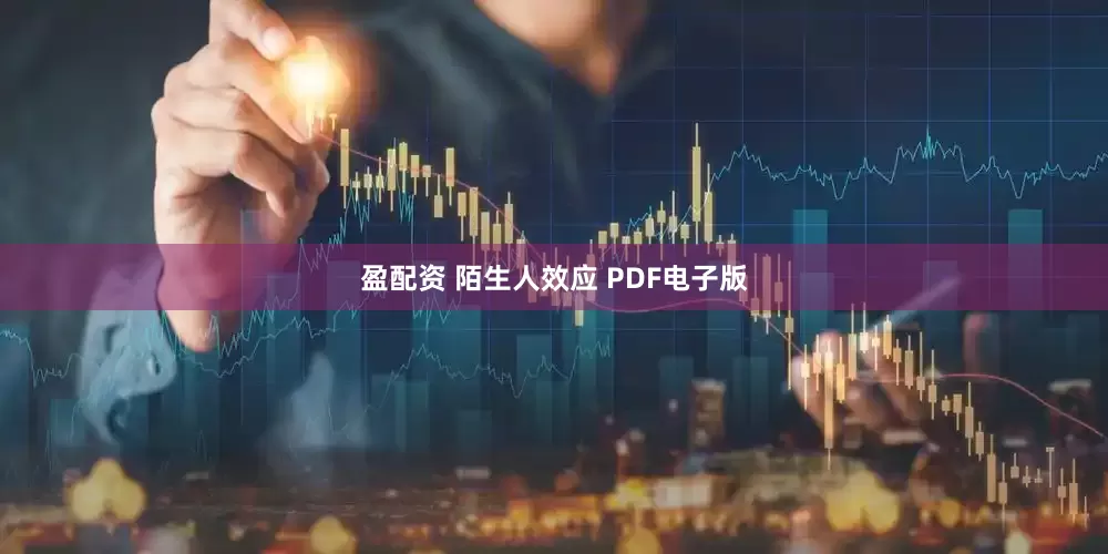 盈配资 陌生人效应 PDF电子版