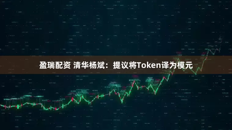 盈瑞配资 清华杨斌：提议将Token译为模元