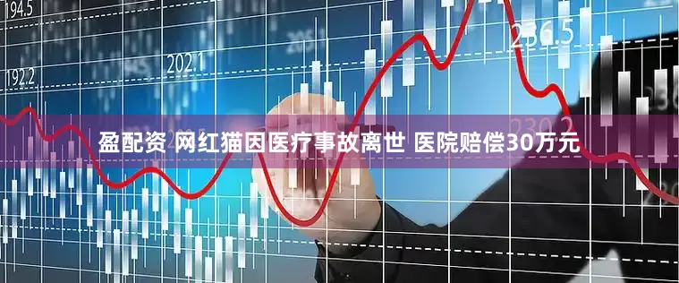 盈配资 网红猫因医疗事故离世 医院赔偿30万元