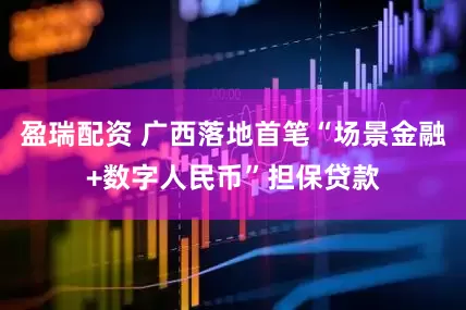 盈瑞配资 广西落地首笔“场景金融+数字人民币”担保贷款